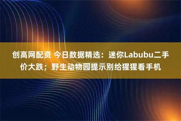 创高网配资 今日数据精选：迷你Labubu二手价大跌；野生动物园提示别给猩猩看手机