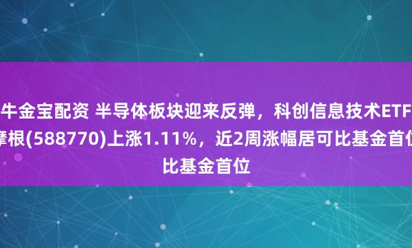 牛金宝配资 半导体板块迎来反弹，科创信息技术ETF摩根(588770)上涨1.11%，近2周涨幅居可比基金首位